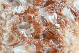 Free-Standing Red Calcite Display - Chihuahua, Mexico #129476-2